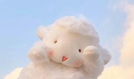 爆料网红小羊视频,揭秘幕后真相